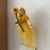 Figura Flor de fieltro Primavera móvil colgante