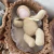 Muñeco bebé en moisés tejido - comprar online