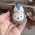 Huevos de Pascua pintados a mano en internet