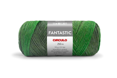 Imagem do Fio Fantastic Círculo 100g