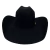 Chapéu Pralana Feltro Arena Preto na internet