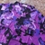 Camisete Fem Plus Floral Apache ML - comprar online
