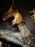 Anel Unissex - Olho de Tigre (n. 23) - loja online