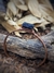Bracelete Ancestral - Turmalina Negra Extra na internet