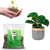 Mix de Fibra e Pó de Coco Coquim 1kg - comprar online