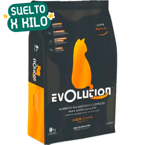 EVOLUTION GATOS URINARY CTRL SUELTO X KG