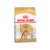 Caniche Adulto X 3 KG*