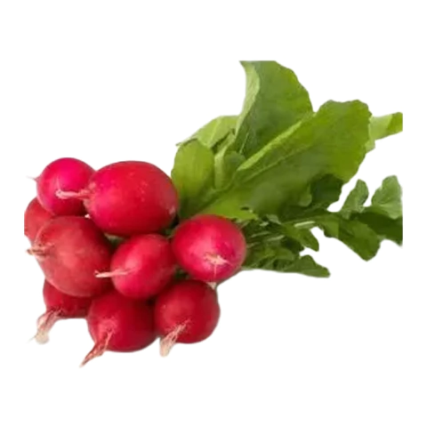 RABANITO SPARKLER MEDIDA X 5 GRS