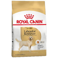 Labrador Retriever Adulto X 12 KG*