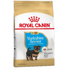 Yorkshire Terrier Puppy X 3 KG*