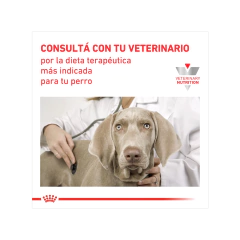 HEPATIC CANINE X1.5 KG - tienda online