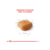 Caniche Adulto X 3 KG* en internet