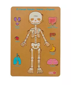 Encastre Cuerpo humano - comprar online
