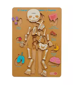 Encastre Cuerpo humano