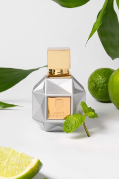 PROMO Master Collection