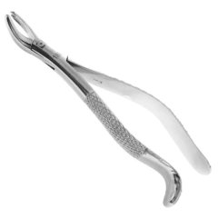 Forceps Adulto N°18L | Quinelato - comprar online