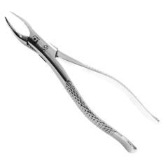 Forceps Adulto N°69 | Quinelato