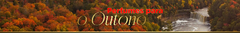 Banner da categoria PERFUMES FEMININOS PARA O OUTONO