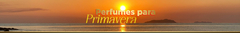 Banner da categoria PERFUMES FEMININOS PARA A PRIMAVERA