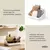 Bellwood Packet Organizer en internet