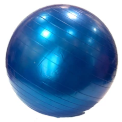 Pelota Krv Esferodinamia Pilates Medicinal Yoga 55cm P-1 en internet