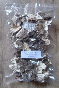 Cogumelo Cauda de Peru (Trametes versicolor) desidratado embalado à vácuo - 10 ou 100 gramas na internet