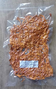 Cogumelo Cordyceps (Cordyceps militaris) desidratado embalado à vácuo - 10 ou 100 gramas na internet