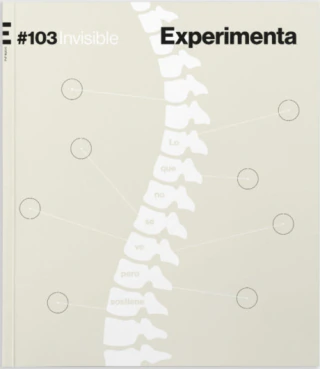 Experimenta 103 - Invisible - Editorial experimenta