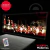 STOCK Basquet LED 147 - 100x50cm - RGB comun