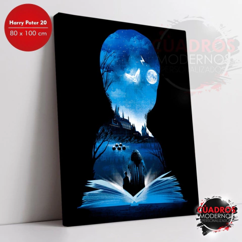 Harry Potter 20