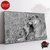 Animales 260