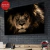 Animales 263
