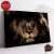 Animales 263 - comprar online
