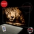 Animales LED 321