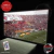 Colon LED 3