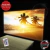 Paisaje LED 636