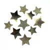 Aplique estrela de lonita (10 unid. sortidas)