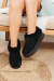 Pantubota Boreal en internet