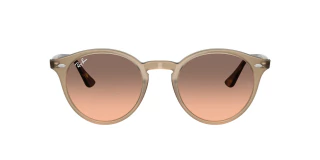 Ray Ban 2180 678846 en internet