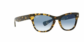 Ray Ban Laramie 2201 13323F 54 en internet