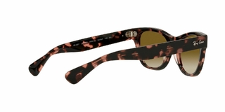 Ray Ban Laramie 2201 133451 54 en internet