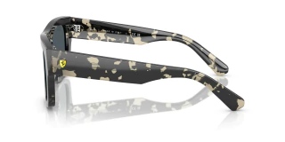 Ray Ban 2217 Home Race Special Edition 70387 en internet