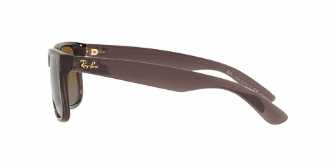 Ray Ban Justin 4165 6597T5 55 - Tecni-Optica