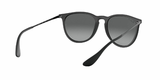 Ray Ban Erika Polarizado 4171 622/T3 54 en internet