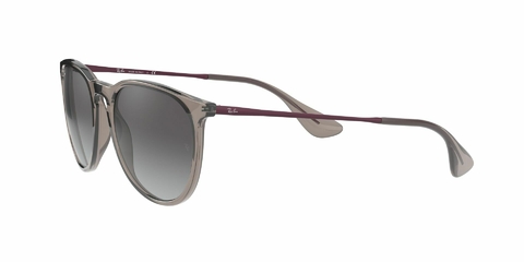 Ray Ban Erika 4171 65138G 54 en internet