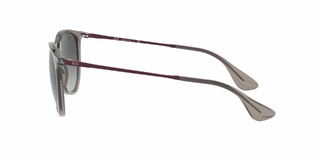 Ray Ban Erika 4171 65138G 54 - Tecni-Optica