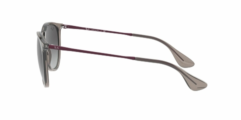 Ray Ban Erika 4171 65138G 54 - Tecni-Optica