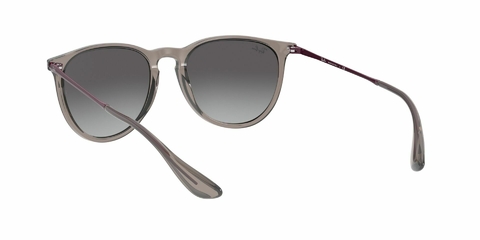 Imagen de Ray Ban Erika 4171 65138G 54