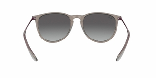 Ray Ban Erika 4171 65138G 54
