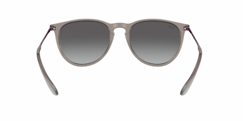 Ray Ban Erika 4171 65138G 54